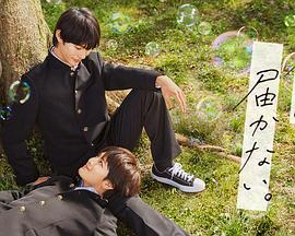 久久三级不卡视频海报剧照