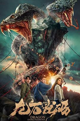 傣族岩甩故事海报剧照